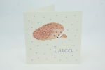 geboortekaartje luca lila